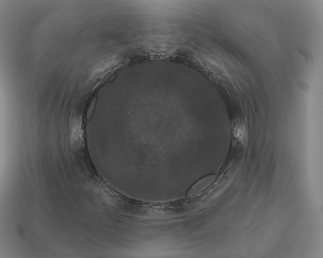 X0000112941252200909071047