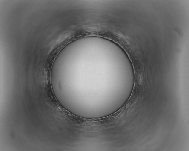 X0000112941253200909071047