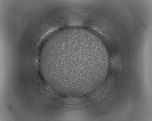 X0000112941254200909071047