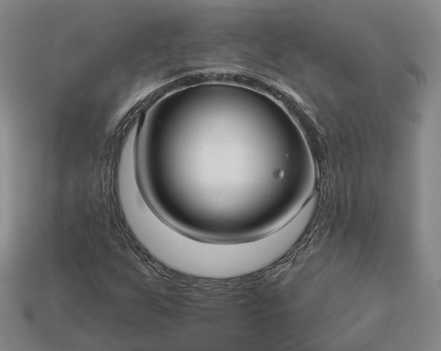 X0000112941255200909071047