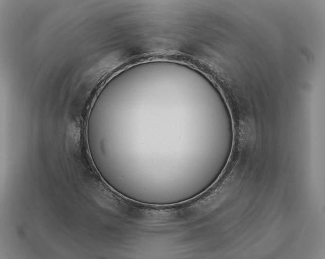 X0000112941257200909071047