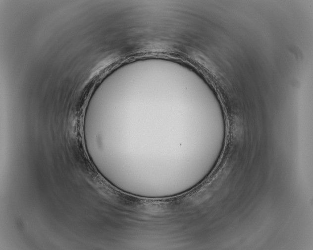 X0000112941258200909071047