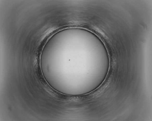 X0000112941259200909071047