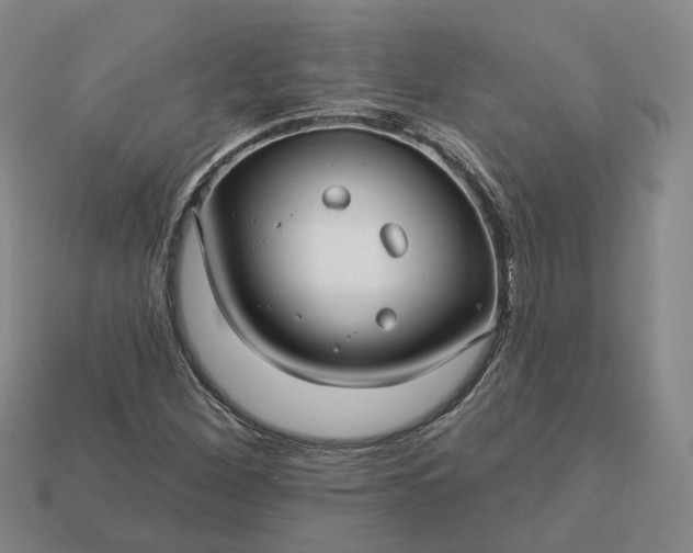 X0000112941260200909071047