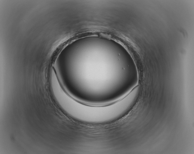 X0000112941261200909071047