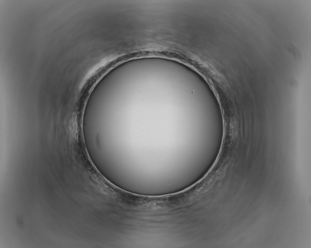 X0000112941262200909071047