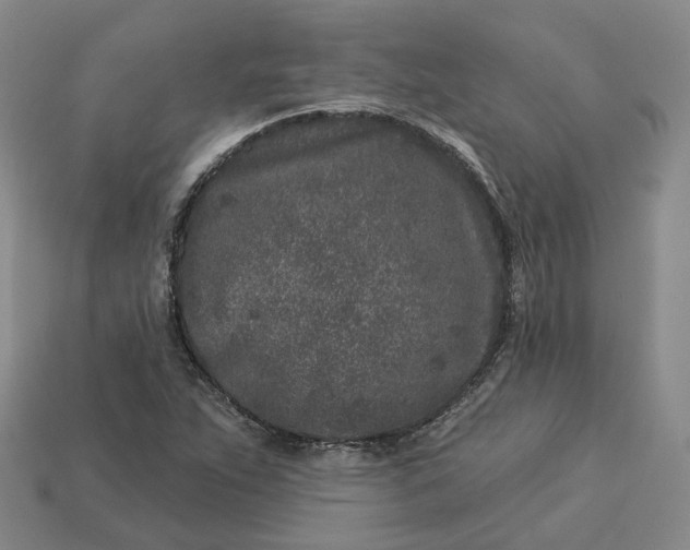 X0000112941263200909071047