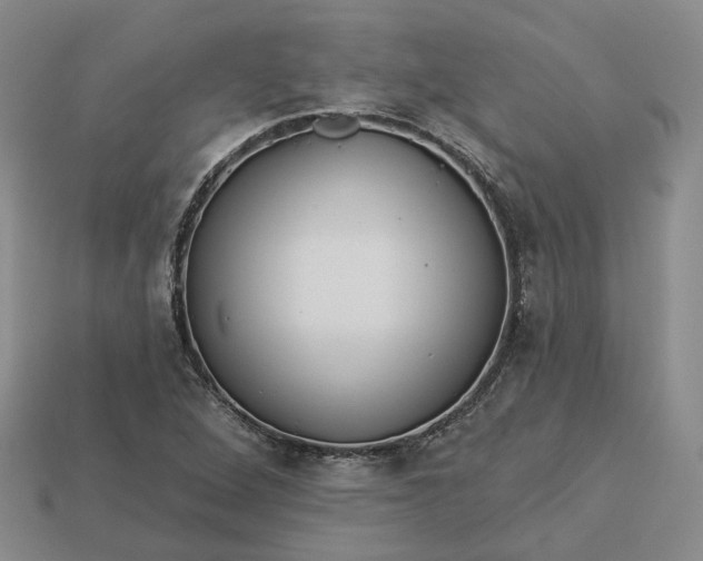 X0000112941264200909071047