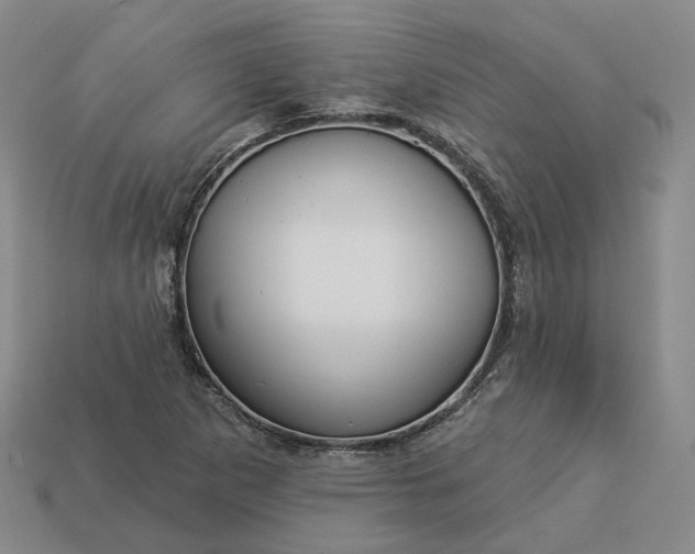 X0000112941265200909071047