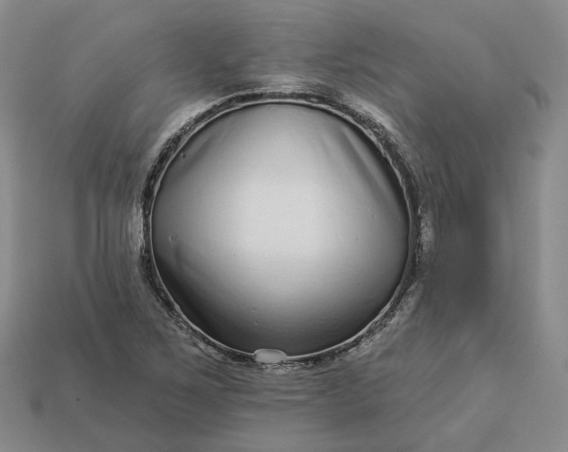 X0000112941267200909071047