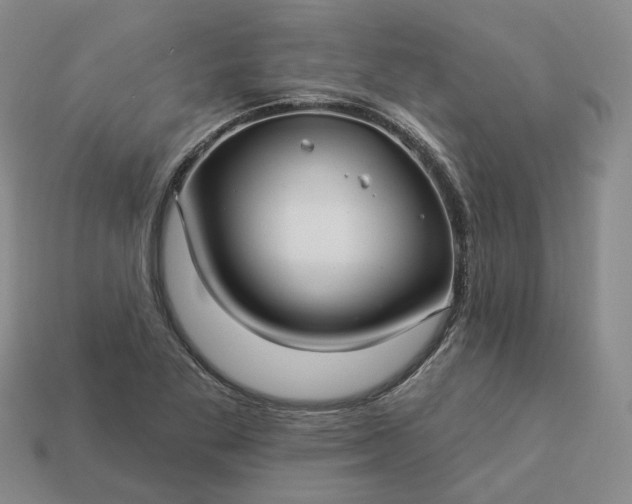 X0000112941269200909071047