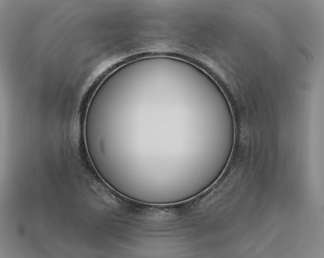 X0000112941270200909071047