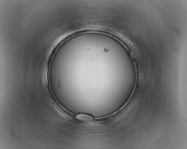 X0000112941272200909071047