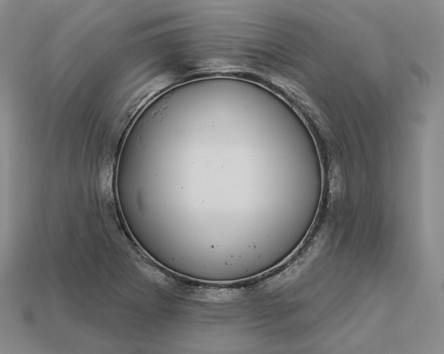 X0000112941273200909071047