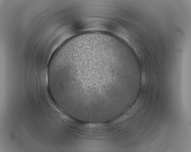 X0000112941274200909071047