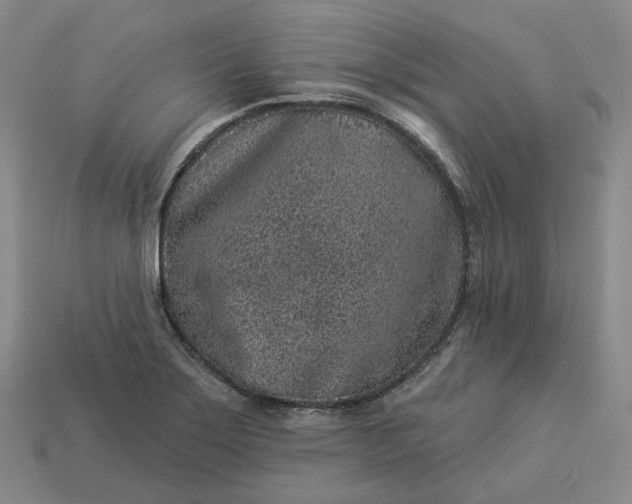 X0000112941275200909071047