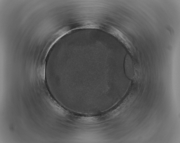 X0000112941276200909071047