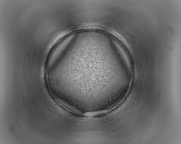 X0000112941277200909071047