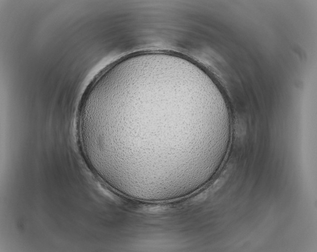 X0000112941278200909071047