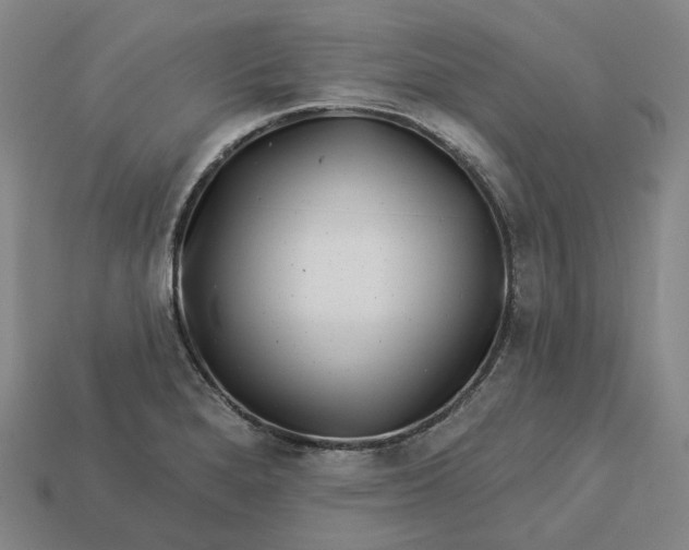 X0000112941280200909071047