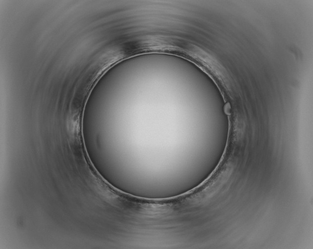 X0000112941281200909071047