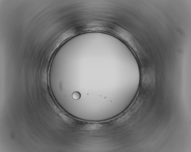 X0000112941282200909071047