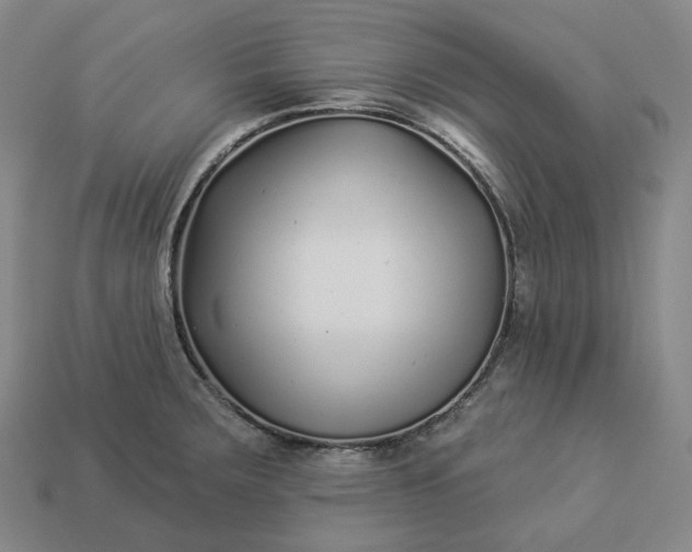 X0000112941283200909071047