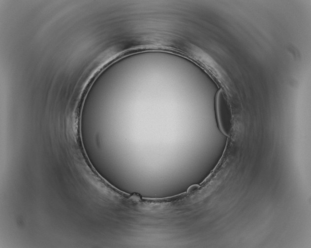 X0000112941284200909071047