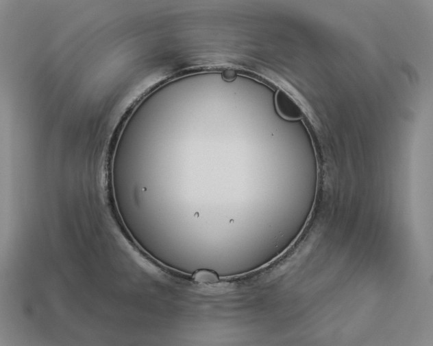 X0000112941285200909071047