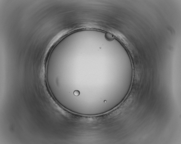 X0000112941286200909071047