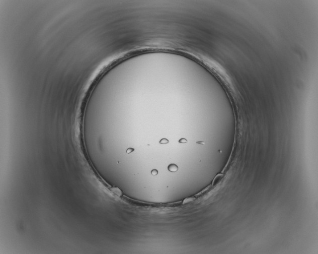 X0000112941288200909071047