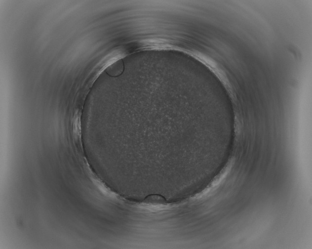 X0000112941289200909071047