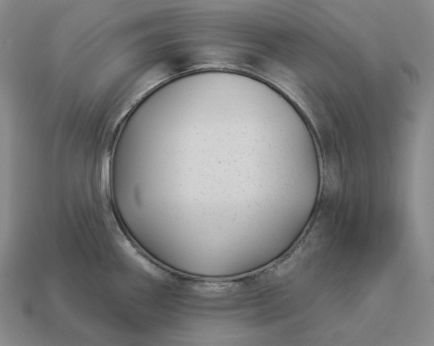 X0000112941290200909071047