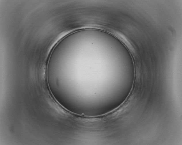 X0000112941292200909071046