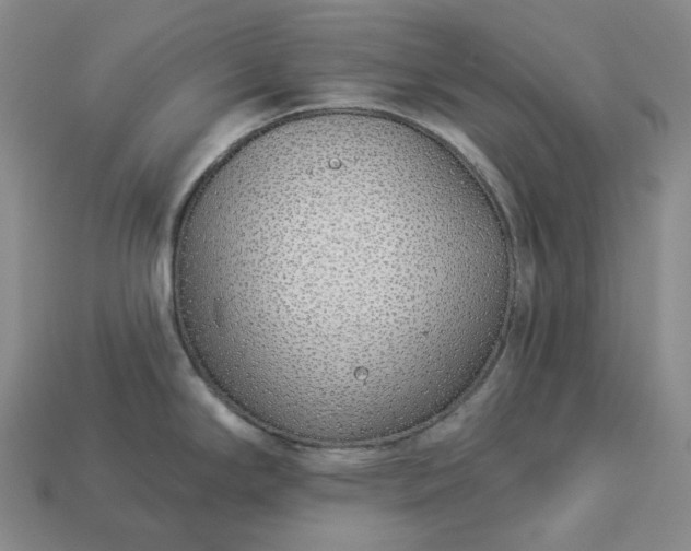 X0000112941294200909071046