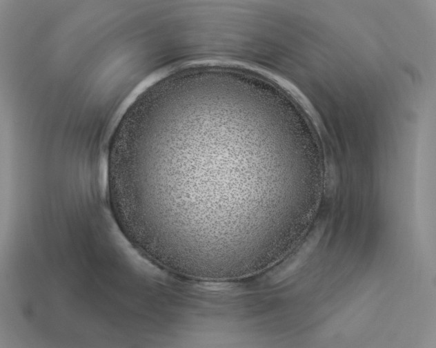 X0000112941295200909071046