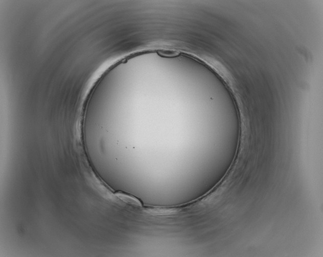 X0000112941296200909071046