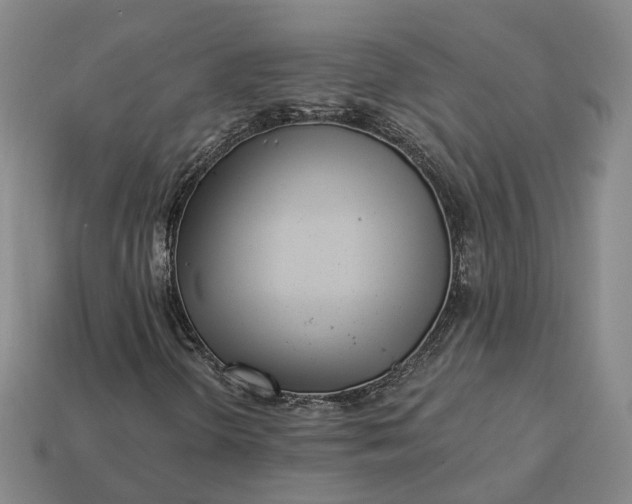 X0000112941298200909071046