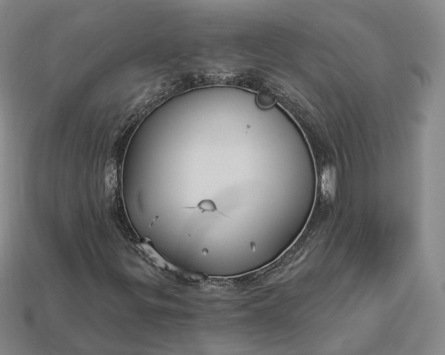 X0000112941299200909071046