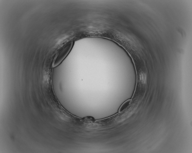 X0000112941300200909071046