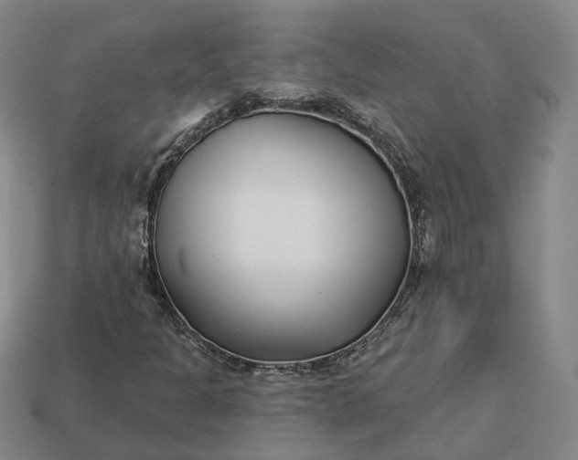 X0000112941301200909071046