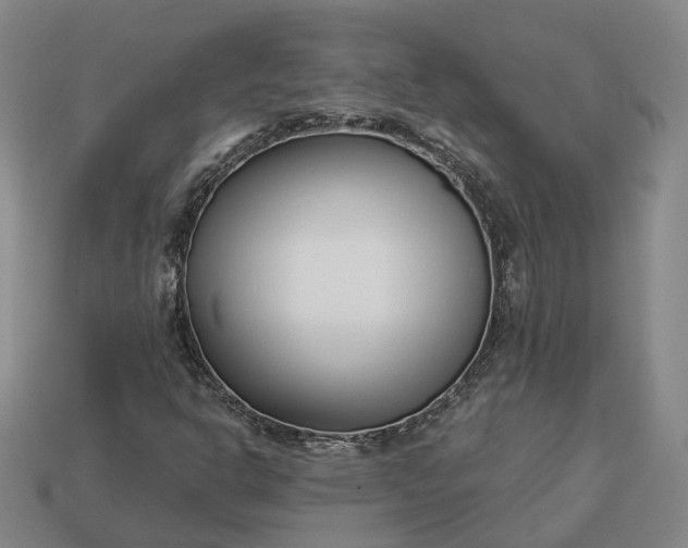 X0000112941302200909071046