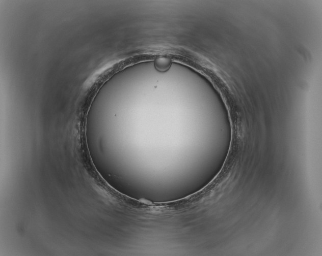 X0000112941304200909071046