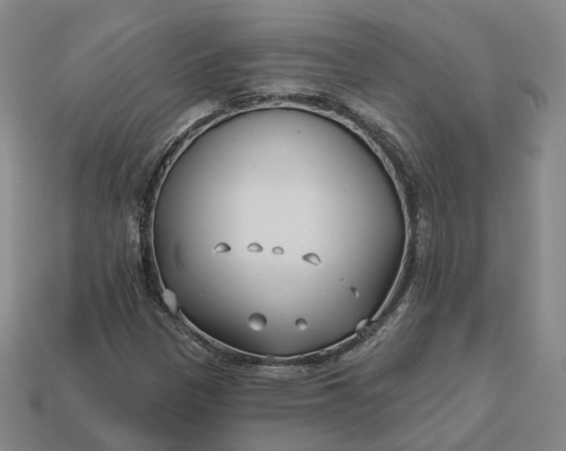 X0000112941305200909071046