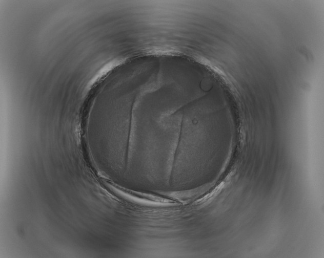 X0000112941306200909071046