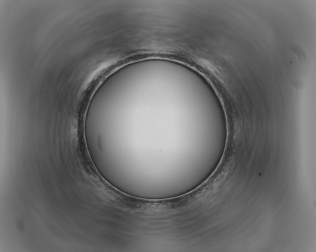 X0000112941307200909071046