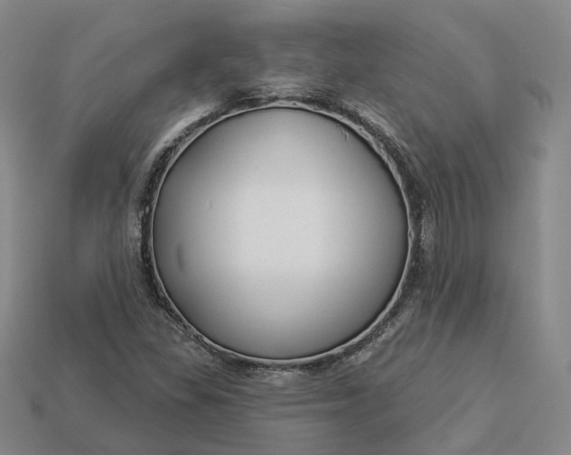 X0000112941309200909071046