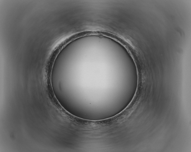 X0000112941311200909071046