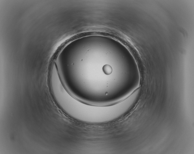 X0000112941312200909071046