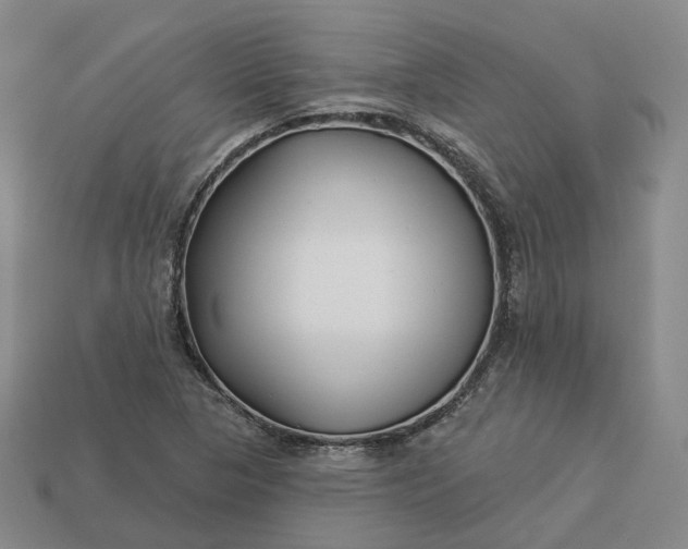 X0000112941313200909071046